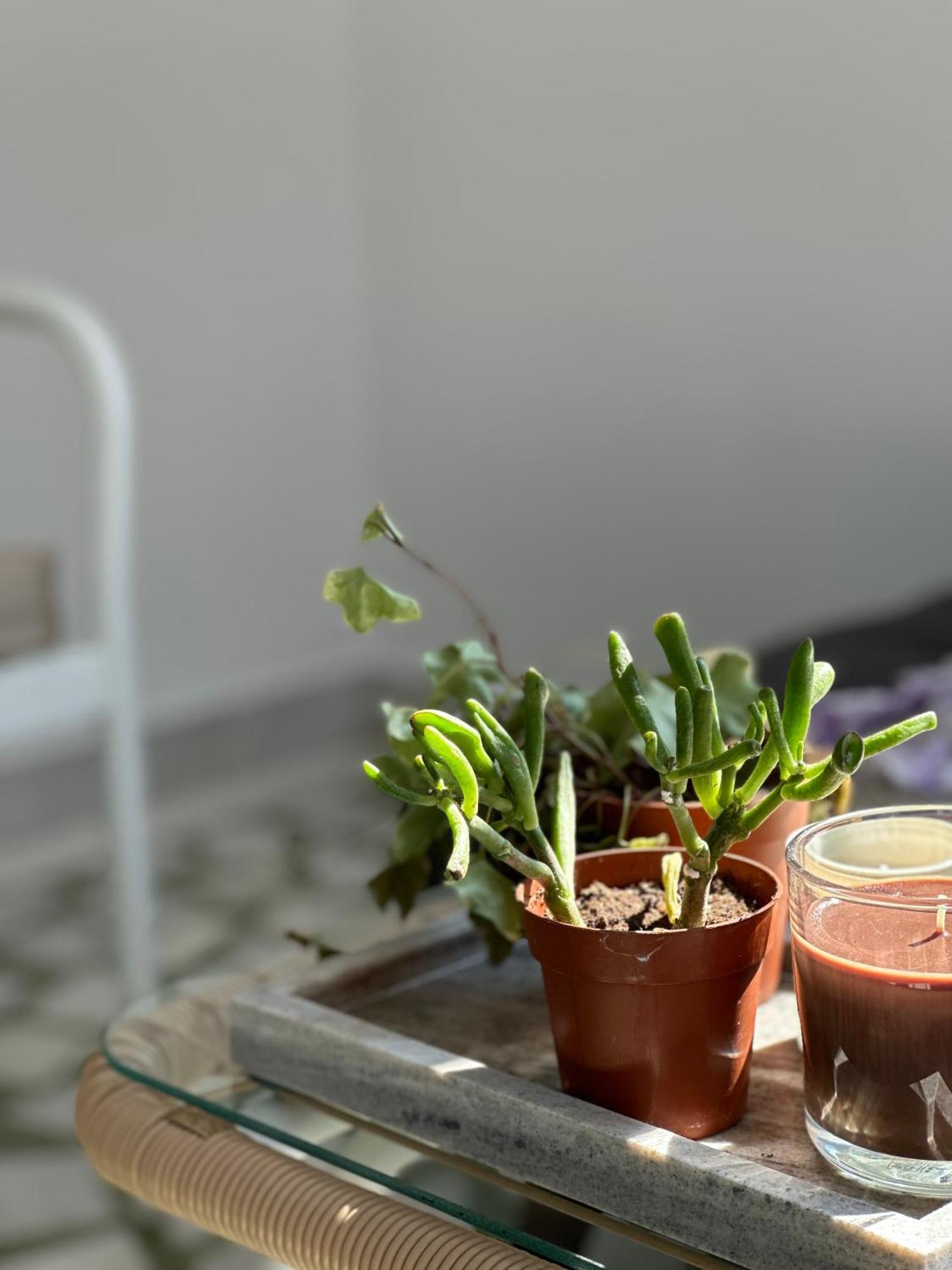 The Lassis 15 House 아르고스톨리온 외부 사진